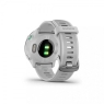 Спортивний годинник Garmin Forerunner 55 White (010-02562-11)