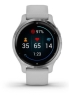 Смарт-годинник Garmin Venu 2S Silver Stainless Steel Bezel with Mist Gray Case and Silicone Band (010-02429-12/02)