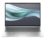 Ноутбук HP EliteBook 665 G11 Silver (8Z714AV)